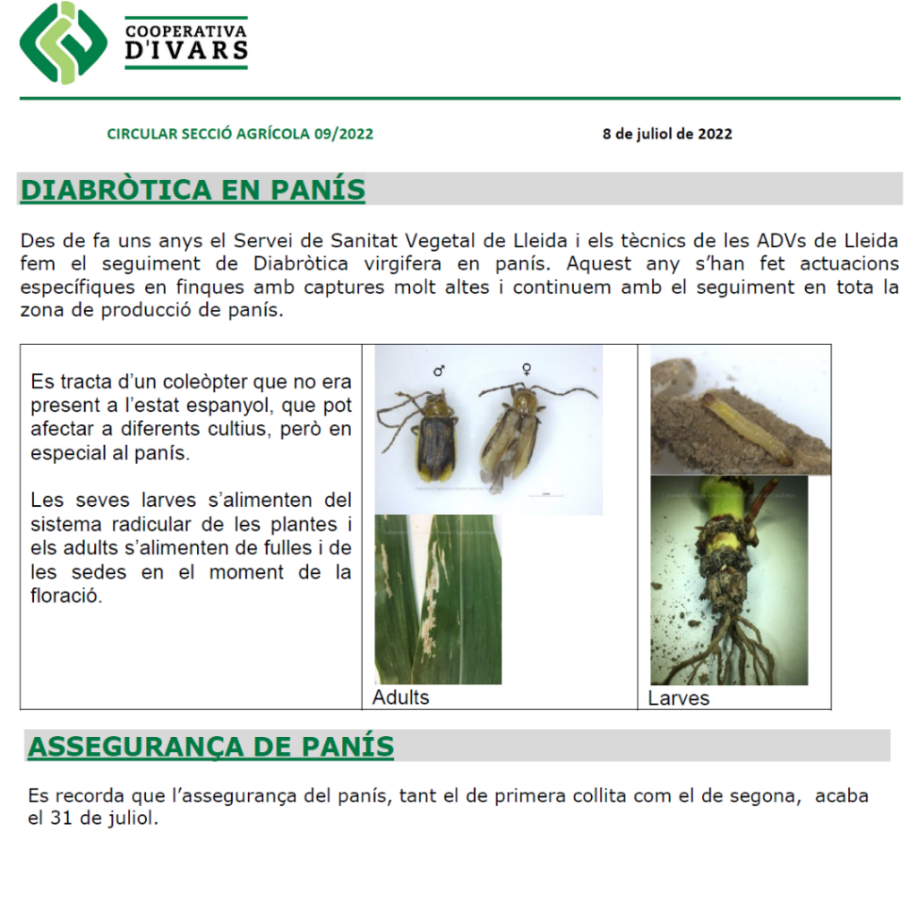 CIRCULAR AGRÍCOLA 9/2022