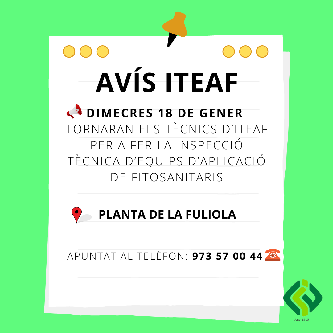 REVISIÓ ITEAF 18 DE GENER Cooperativa D'Ivars